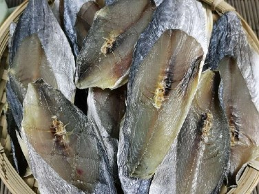 Spanish mackerel Spanish mackerel